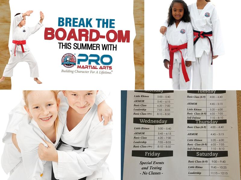 Pro Martial Arts Lyndhurst