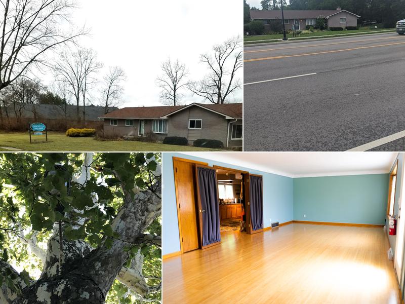 Grace Tree Yoga Studio