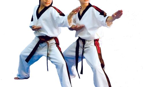 Amarillo Karate-Taekwon Do