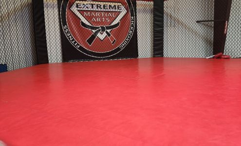 Extreme Martial Arts