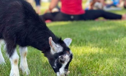 Tamara's Personal Training LLC