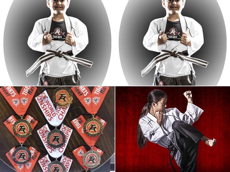 Tiger-Rock Martial Arts