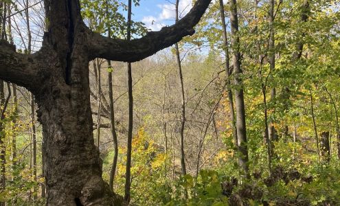 Waukau Dam Bike Trail Omro