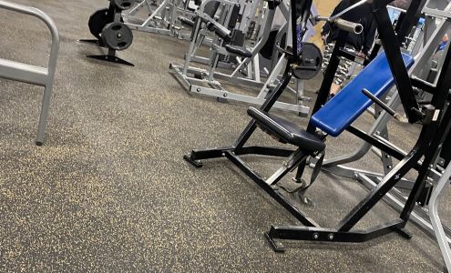 Devil Dog Gym Havelock