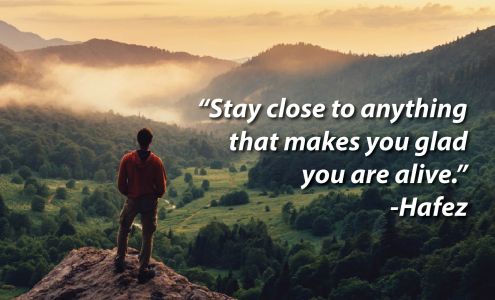 Marine Dome Havelock