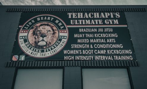 LION HEART MMA