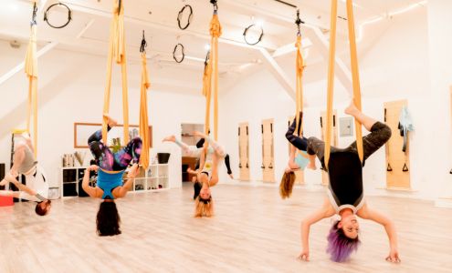 The Bridge Mind Body Movement