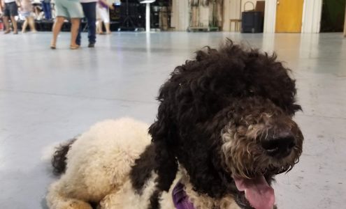 Iva Civic Center Iva