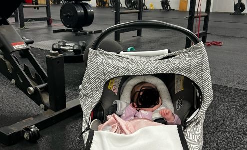 Knight Performance Factory