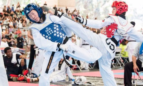 KNOCKOUT Martial Arts & Fitness