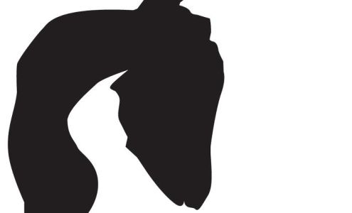 Thomaston Yoga Studio LLC Thomaston