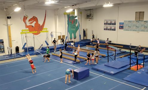 Gold Cup Gymnastics School
