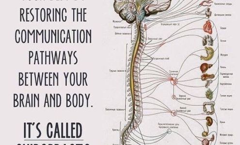 Spine Fit Dr. Randal Jung, D.C.