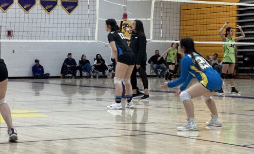 Duke City Volleyball Academy