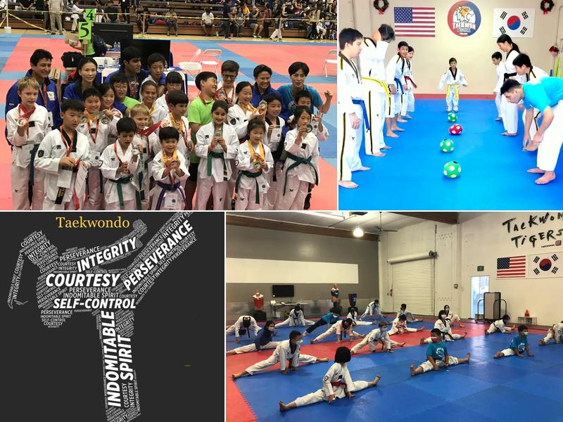 TaeKwon Tigers Palo Alto