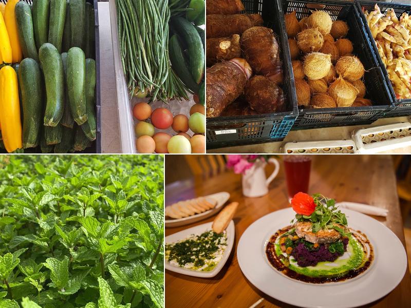 Kahumana Food Hub & Organic Farms