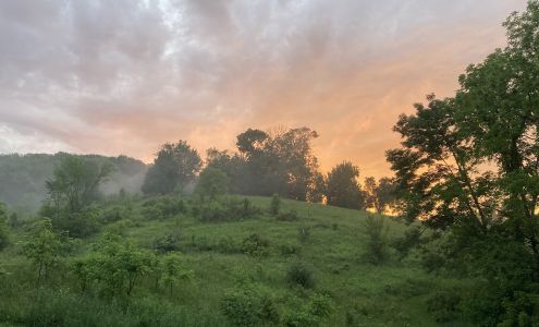 True Nature Holistic Retreats