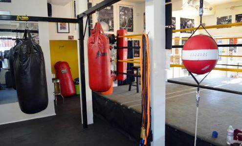 Tiger Boxing Gym