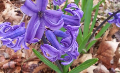 Burke's Gym Personal Training