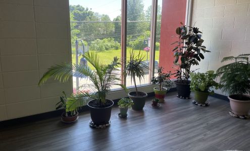 RedBloom Center for Community Wellness 219 N Mill St, St. Louis Michigan 48880