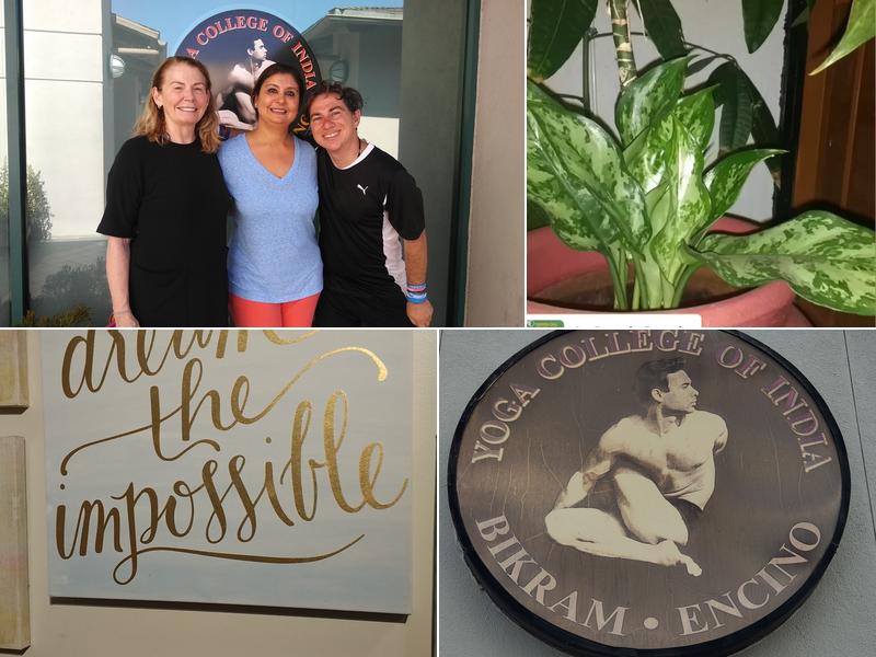 Bikram's Yoga College of India