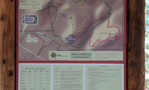 Henry's Woods Lake Placid