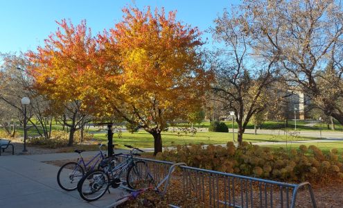 Regional Fitness Center Morris
