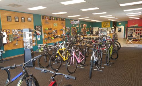 Robin's Bikes & Fitness