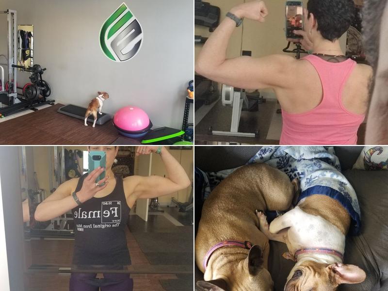 Fhysical Elements LLC