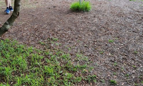 Outer Banks Disc Golf