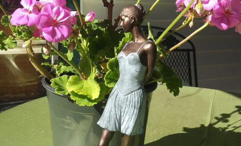 St Johnsbury Center-Wellbeing 364 Railroad St, St Johnsbury Vermont 05819