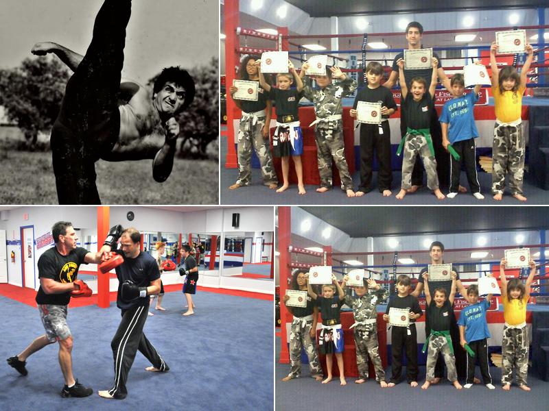 Amir Academy of Martial Arts