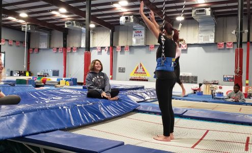 Flip Force Gymnastics