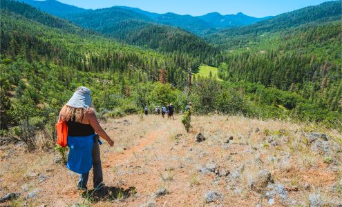 Buckhorn Springs Retreats & Cabins