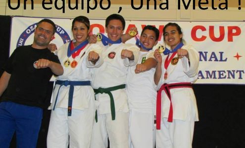 Budo Zone: Physical Fitness, Martial Arts School, Self Defense School, Karate Do School