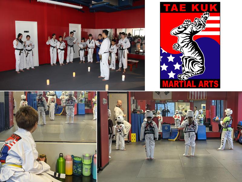 T K Gym & Martial Arts