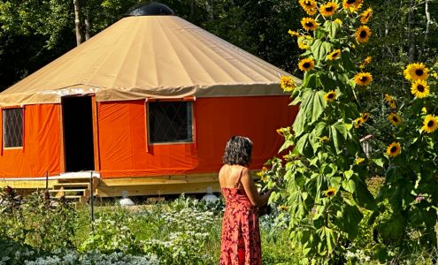 Celebration Tree Farm & Wellness Center Durham