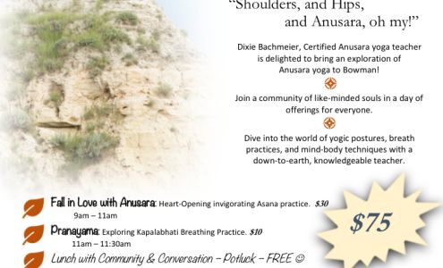 Bachmeier Chiropractic Bowman