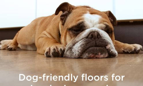 Family Carpet One Floor & Home