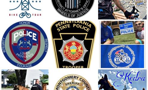 Molly's Run Pet Supplies Lansdale