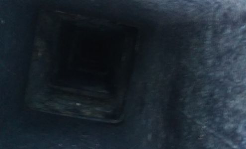 North Penn Pet Sitter Services Lansdale