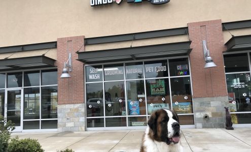 Dingo's Natural Pet Food, Self-Wash & Grooming