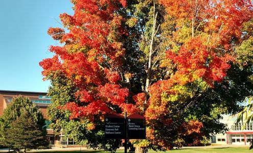 NHTI, Concord's Community College Bookstore