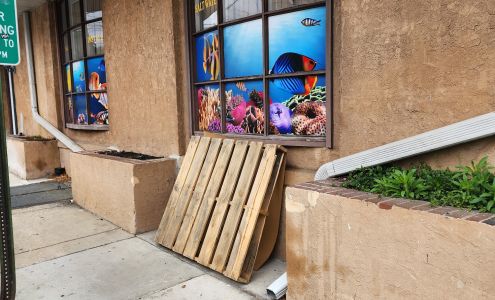 Mini Reef Prospect Park