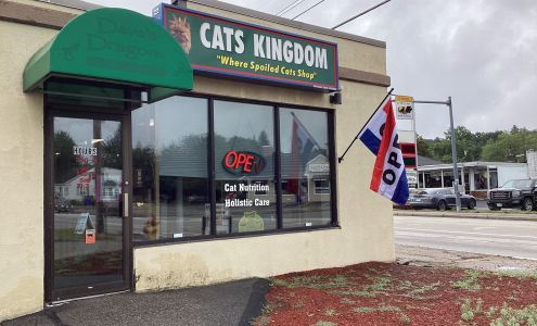 Cats Kingdom 