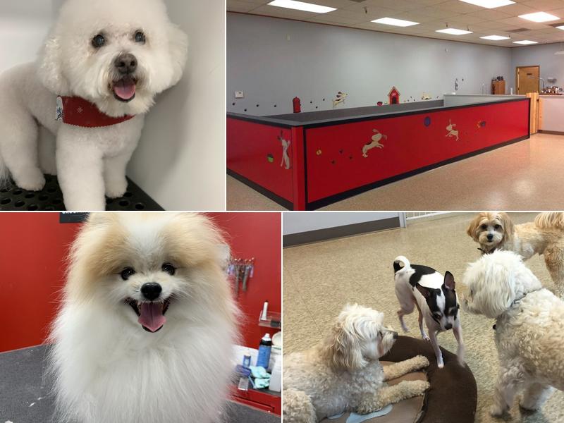 CK9 Pet Salon & Daycare