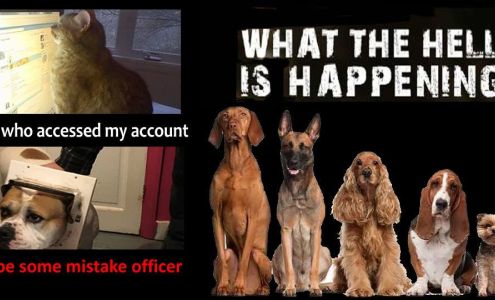 Picky Pet Supplies LLC Little Suamico