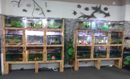 Wildwood pets