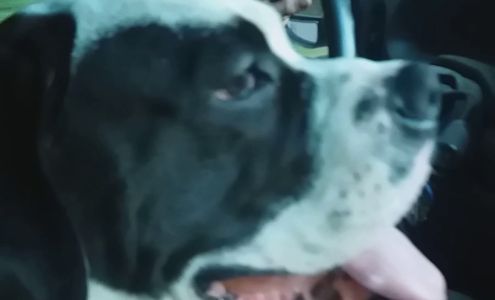 Mountwest Community Tech College Bookstore