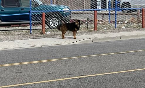 Wood Haus Farmington